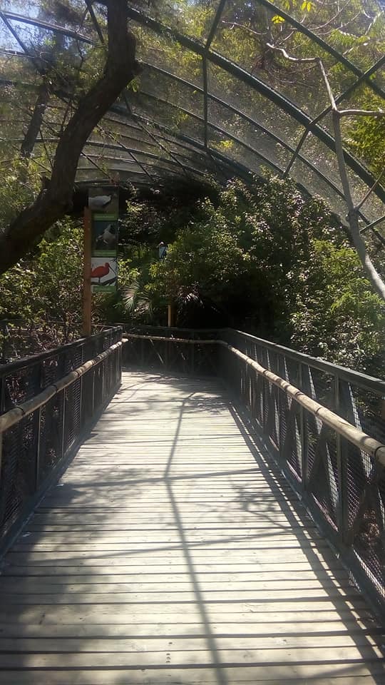 50924345_10216531770183358_9128571328264142848_n