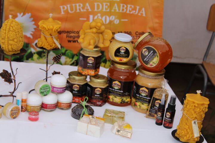 57280520_327360414642860_4761709844551958528_n