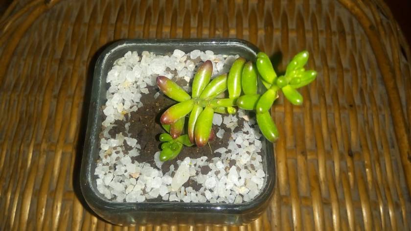 WhatsApp Image 2019-04-09 at 9.08.02 PM