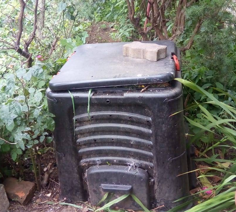 WhatsApp Image 2019-11-24 at 11.34.03 AM (1)