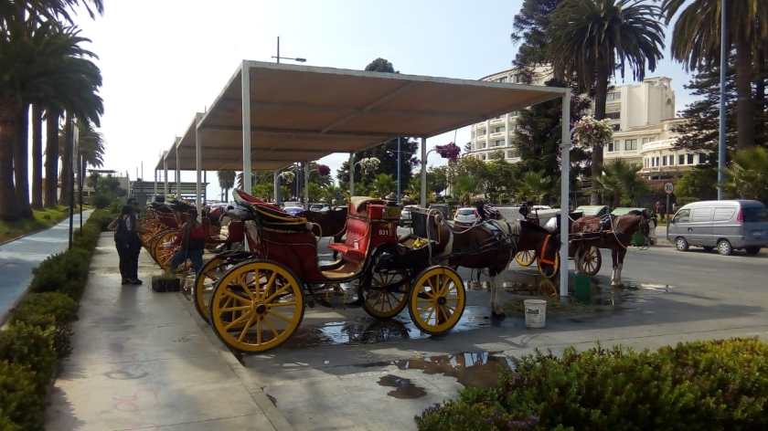 WhatsApp Image 2020-02-10 at 5.56.49 PM